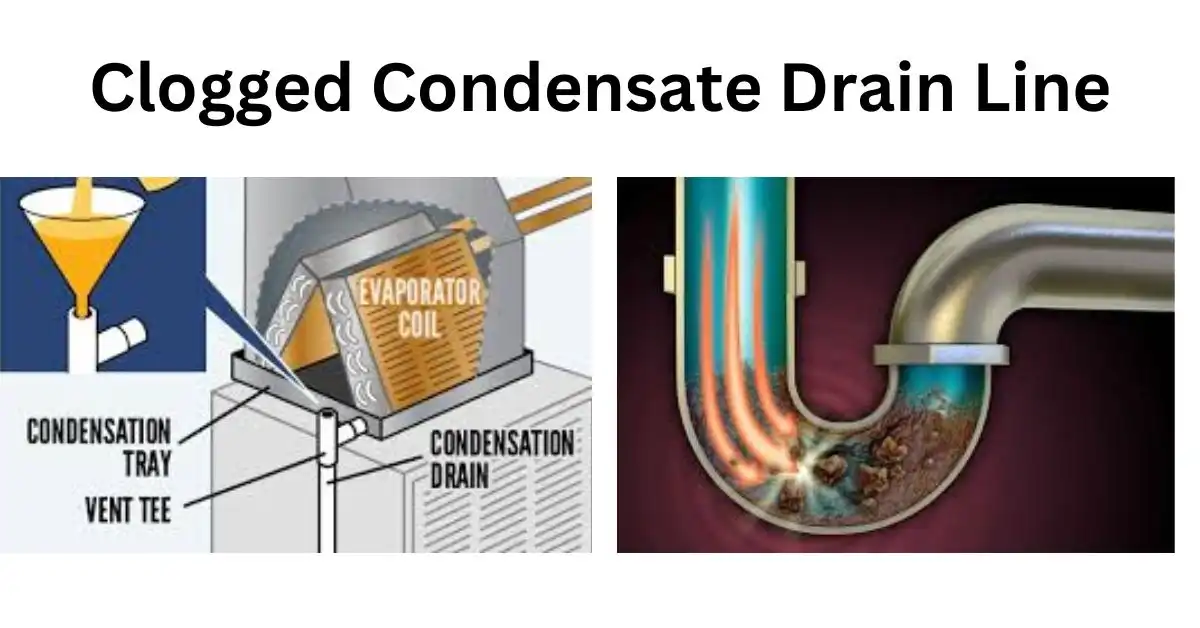 clocked Drain Line